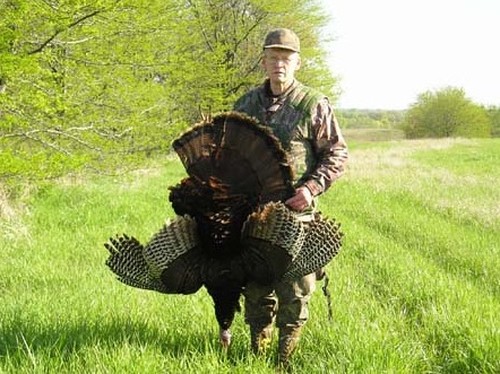 Turkey Hunts Photo